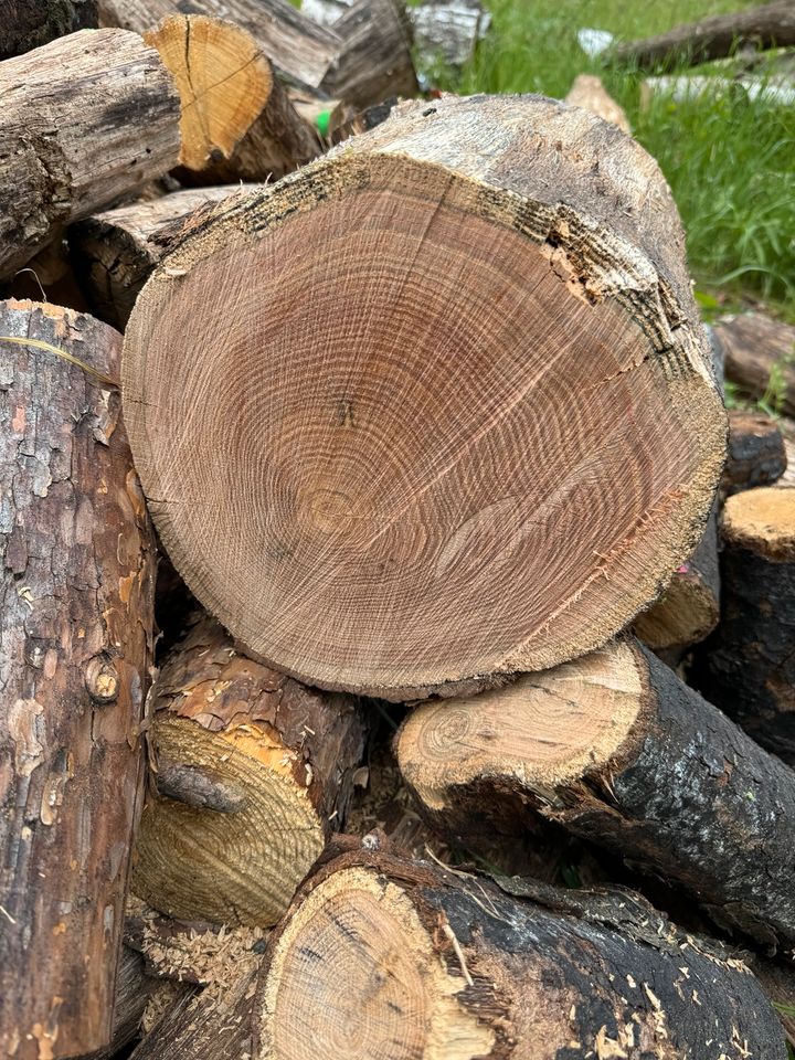Brennholz gehackt 33cm in Kamenz