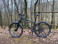 NS Bikes Eccentric 29  Neupreis 2920 Euro  MTB Enduro Nordrhein-Westfalen - Lennestadt Vorschau