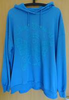 dünnerer Hoodie Rheinland-Pfalz - Hochstetten-Dhaun Vorschau