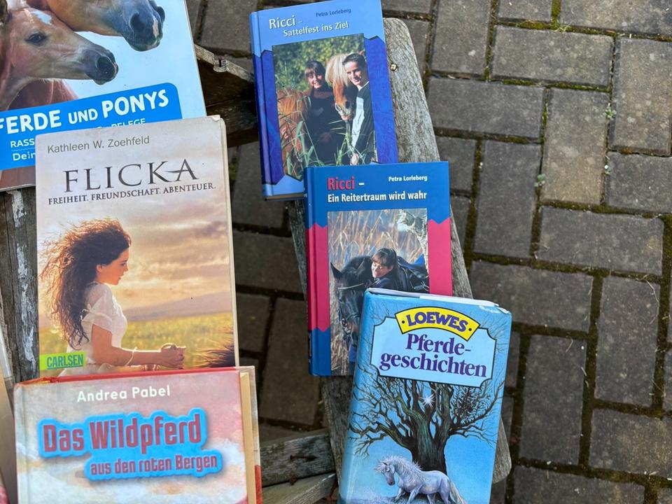 13 x Pferdebücher Paket Pferde Mädchen Reiten Geschichten in Großhartmannsdorf