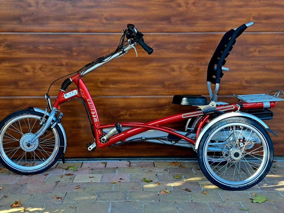 Van Raam Easy Rider 2 mit Elektrounterstützung ebike in Königsbach-Stein 