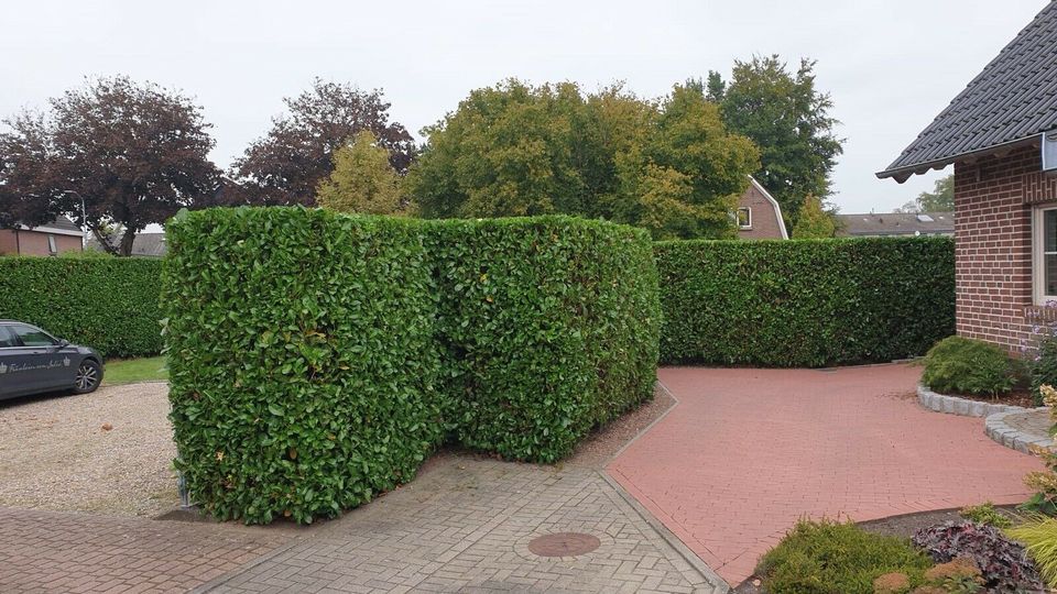 Gartenpflege in Isselburg