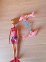 Barbie mit Delphin Trainerin drehbar Sachsen-Anhalt - Kabelsketal Vorschau