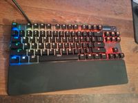 Steelseries APEX pro TKL 2021 Neu Preis um die 200 Euro Hessen - Langen (Hessen) Vorschau