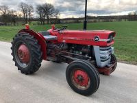 Massey-Ferguson 135 MP Baden-Württemberg - Riedlingen Vorschau