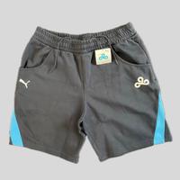 Neue Puma Shorts Hose Gr. L Nürnberg (Mittelfr) - Aussenstadt-Sued Vorschau