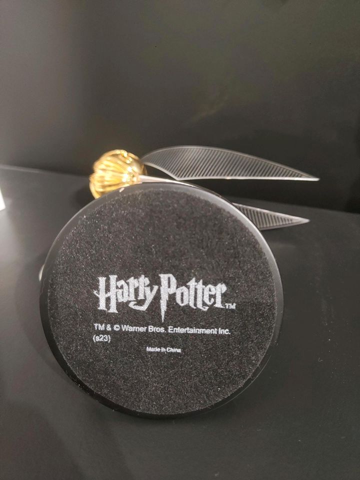 Harry Potter™ Golden Snitch / Goldener Schnatz in Schönberg (Mecklenburg)