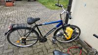 26 zoll herrenfahrrad Rheinland-Pfalz - Hochdorf-Assenheim Vorschau