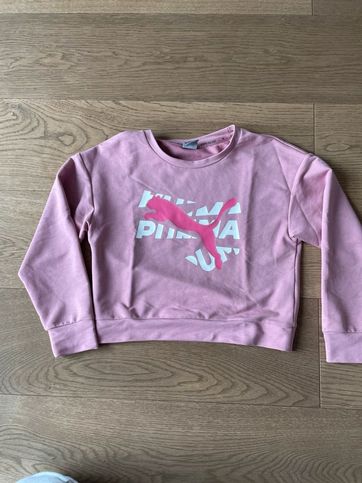 Pulli von Puma für Sport und Freizeit Gr. 140 in Pfungstadt