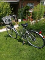 Pegasus Damenfahrrad, 28 Zoll,  mit Rahmenfederung Niedersachsen - Salzgitter Vorschau