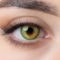 Kontaktlinsen grün farbig grüne Halb-Jahreslinsen Beauty + Box Nordrhein-Westfalen - Minden Vorschau