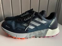 Adidas Terrex Agravic Flow GTX, blau, 45 1/3 Obervieland - Habenhausen Vorschau