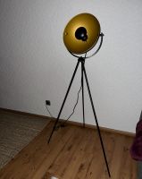 Stehlampe 150cm Rheinland-Pfalz - Ludwigshafen Vorschau