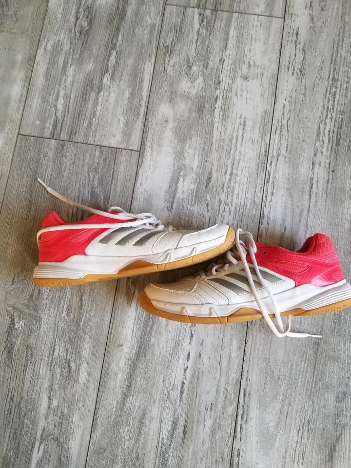 Adidas Sneakers Turnschuhe Größe 39 in Dörentrup