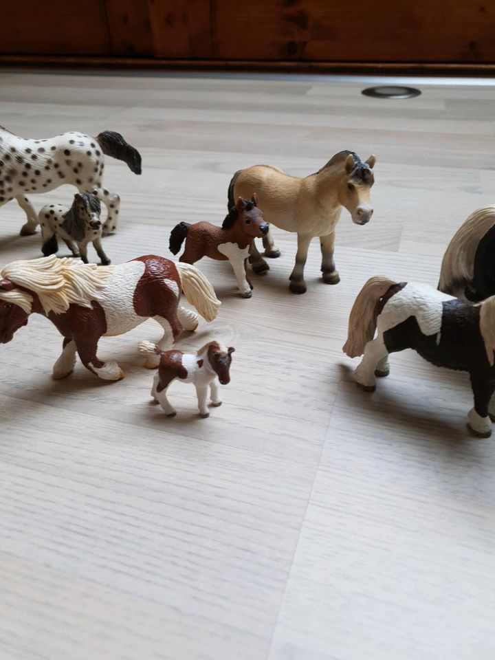 Schleich Pferde 12,Stück in Rosengarten