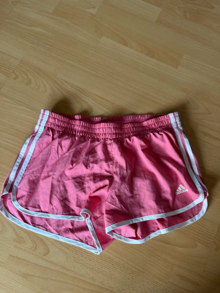 Adidas Shorts Rosa Damen L in Perl