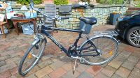 PEGASUS Alu Light ARCONA Herren Fahrrad Nordrhein-Westfalen - Anröchte Vorschau