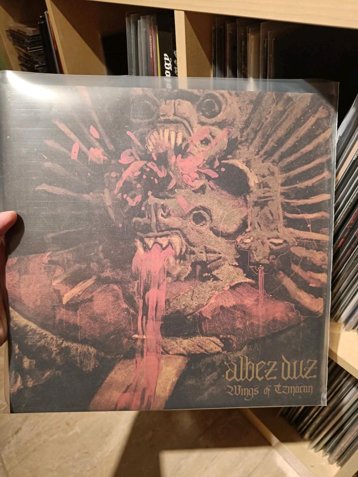 Metal Vinyl Sammlung (Black/Death/HeavyDoom) in Lübben