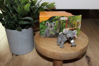 Schleich Koala Figur Wild Life Koala NEU in OVP Bayern - Leidersbach Vorschau