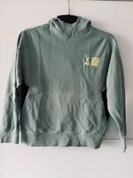 Zara Kapuzenpulli / Hoodie, Größe 164 Frankfurt am Main - Sachsenhausen Vorschau