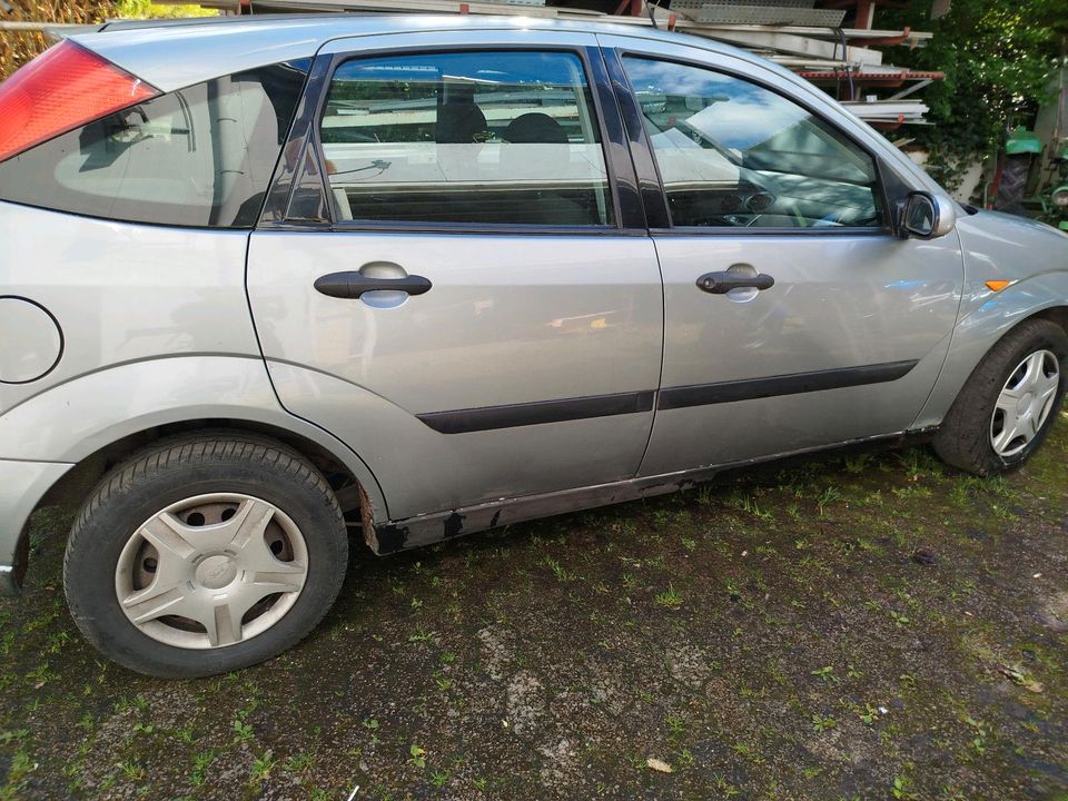 Ford Focus 1,6 in Reinhardshagen