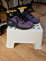 Nike Turnschuhe Nordrhein-Westfalen - Swisttal Vorschau