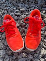 NIKE Revolution 3 Turnschuhe Sneaker Sport Schuhe Gr.39 Leipzig - Wiederitzsch Vorschau
