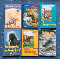 Jugendbücher, Mädchen, Pferde, Hardcore, Ponyclub Sachsen - Dohna Vorschau