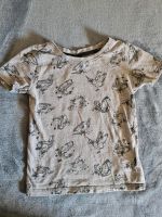 T-Shirt Gr. 110 Dino Dinosaurier T-Rex grau Dopodopo Niedersachsen - Alfeld (Leine) Vorschau