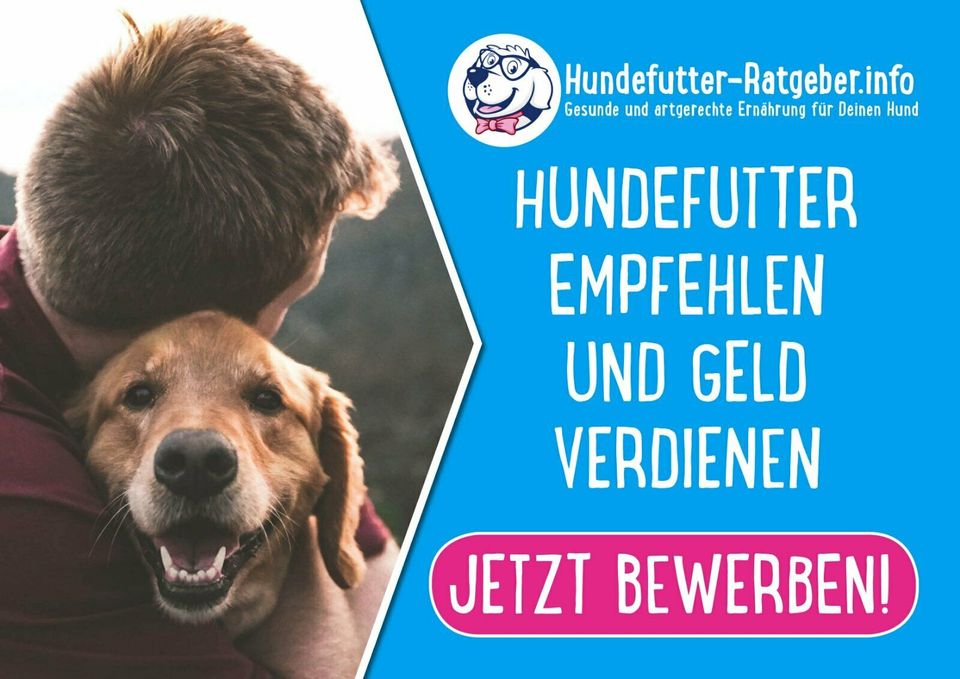 Hundebesitzer aufgepasst: Nebenjob im Vertrieb in Damnatz