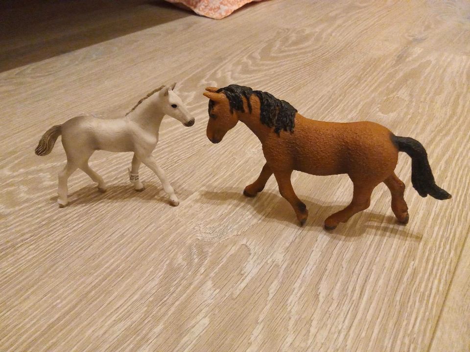 Schleich Pferde/Fohlen in Heidelberg