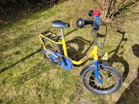 Puky Kinderfahrrad 16 Zoll Niedersachsen - Beckdorf Vorschau