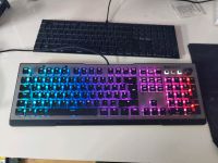 Roccat Vulcan 120 Mechanische Gaming Tastatur Rheinland-Pfalz - Landau in der Pfalz Vorschau