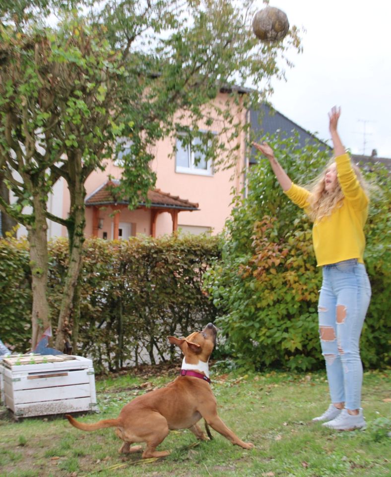 Selbstverteidigung Frauen Kinder Kick Boxen Box K1 ADHS Bad Soden in Bad Soden am Taunus