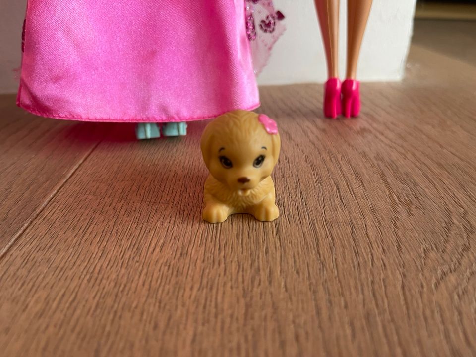 Barbie 9 Puppen Kiste Hocker Disney Princess +Pferd Delfin Hund in Saarbrücken