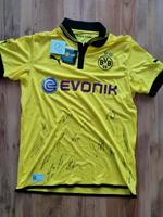 BVB Borussia Dortmund Trikot original Puma mit Unterschriften Sachsen - Hohndorf Vorschau