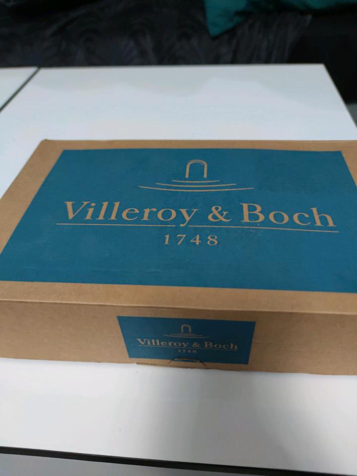 Villeroy & Boch ViConnect E300 WC-Betätigungsplatte 92249069 in Dortmund