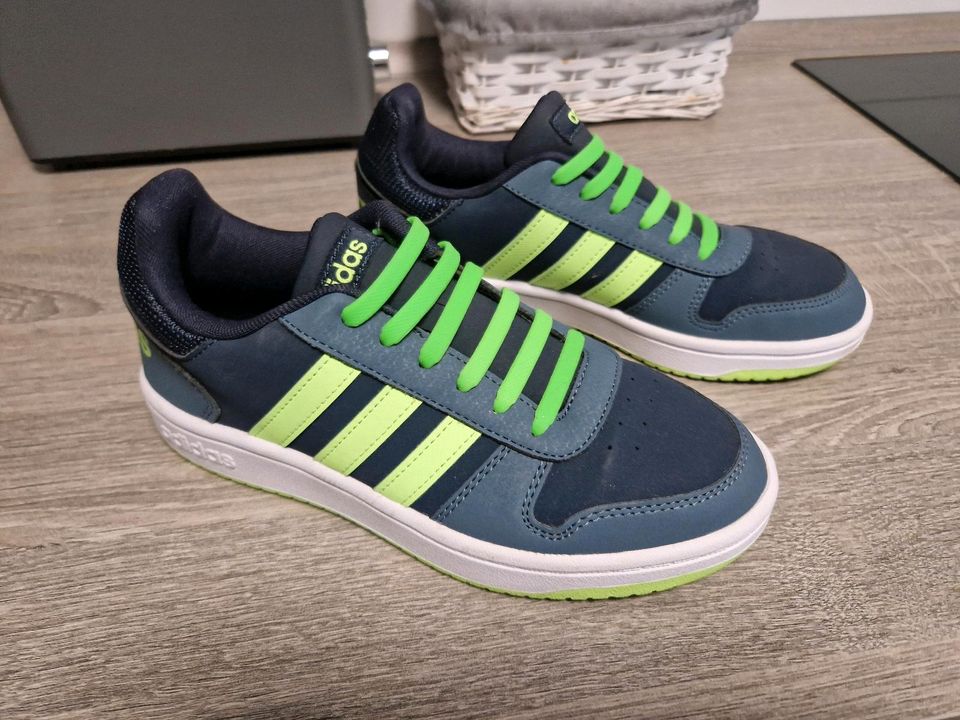 Adidas sneakers Schuhe Größe 38 in Dresden