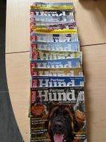 ***Zeitschriften Partner & Hund 2023 *** Bielefeld - Stieghorst Vorschau