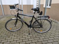 Fahrrad (Herren) Falter FC40 Comfort Sachsen-Anhalt - Magdeburg Vorschau