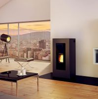 Pelletofen Jotul PF 1230 S schwarz 12 kW -SOFORT VERFÜGBAR Nordrhein-Westfalen - Ahlen Vorschau