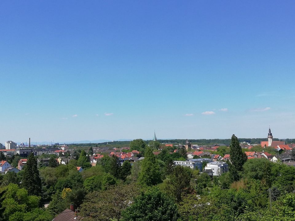 TOP Aussichtslage am Geigersberg in Karlsruhe