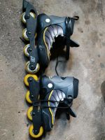 Inline Skates von K2 Größe 40,5 Rheinland-Pfalz - Bernkastel-Kues Vorschau