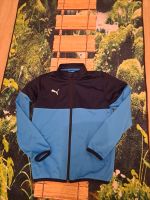 Sportjacke Puma 152 TOP Niedersachsen - Nortmoor Vorschau