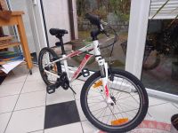 Specialized Hotrock Kinder Mountainbike Nordrhein-Westfalen - Roetgen Vorschau