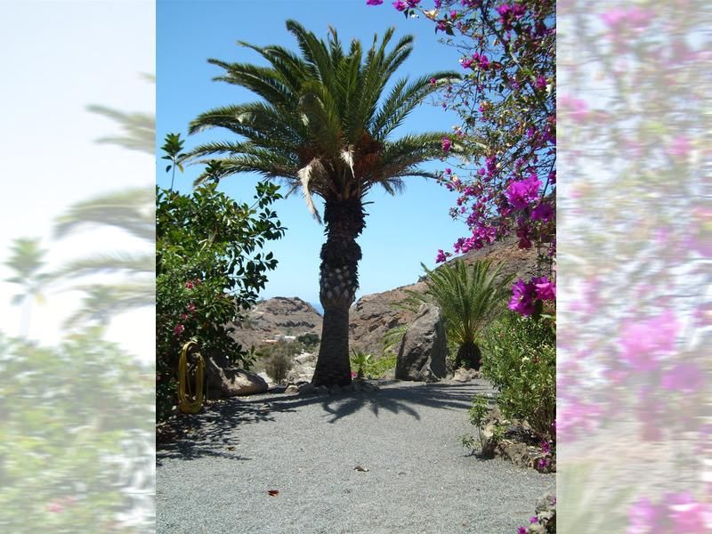 Gran Canaria Neues Ferienhäuschen auf idyllischer Finca mit Wlan in Rheine