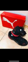 Puma  Sneaker Bayern - Weiden (Oberpfalz) Vorschau