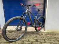 CUBE Stereo 120 Pro 29“ Fully Mountainbike in Rahmengröße M, 12 G Nordrhein-Westfalen - Wetter (Ruhr) Vorschau