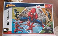 Marvel Puzzle Baden-Württemberg - Berkheim Vorschau