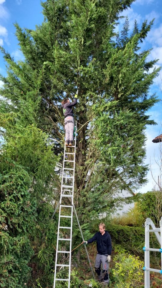 Hausmeisterservice und Gartenpflege in Bietigheim-Bissingen